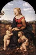 RAFFAELLO Sanzio The Virgin and Child with Saint John the Baptist (La Belle Jardinire)  af Spain oil painting reproduction